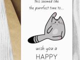 Amusing Birthday Cards Funny Birthday Cards Printable Birthday Cards Funny Cat