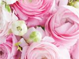 Best Birthday Flowers for Her 60 Best Happy Birthday Flowers Images On Pinterest