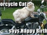 Biker Chick Birthday Memes Funny Happy Birthday Memes Images Quotes and Wishes