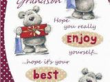 Birthday Card for 3 Year Old Grandson 1st First Birthday Wishes Greetings Quotes for Grandson In