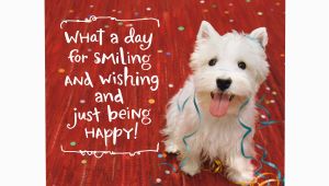 Birthday Card with Dogs Smiling Happy Dog Birthday Cards Hallmark Card Pictures