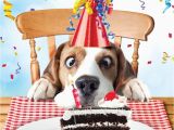 Birthday Cards for Pets Beagle Luxury Glitter Funny Birthday Greeting Card Dog