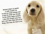 Birthday Cards for Pets Dog Birthday Quotes Quotesgram