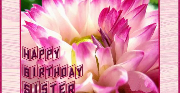 Birthday Cards for Sister Free Download Happy Birthday Sister Greeting Cards Hd Wishes Wallpapers