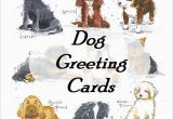 Birthday Cards with Dogs On them Dog Greeting Cards Buy 10 Cards and Save 20