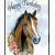 Birthday Cards with Horses Happy Birthday Horse Card