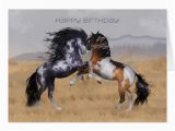 Birthday Cards with Horses On them Wild Horses Birthday Greeting Card