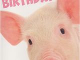 Birthday Cards with Pigs Open Birthday Cards Pig Out Its Your Birthday