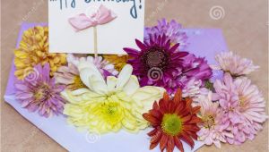 Birthday Flower Card Message Chrysanthemums Flowers In Violet Envelope with I Happy