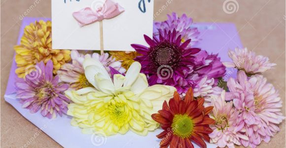 Birthday Flower Card Message Chrysanthemums Flowers In Violet Envelope with I Happy