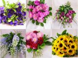Birthday Flowers by Month Birth Month Flowers Pictures Beautiful Flowers