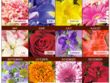 Birthday Flowers by Month Merry Brides Your Birth Month Flower