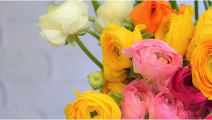 Birthday Flowers Chicago Amling 39 S Flowerland Florist Of Chicago Elmhurst Il