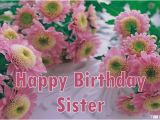 Birthday Flowers for My Sister Happy Birthday Wishes for Sister Quotes Messages Images