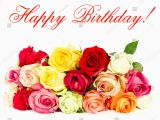 Birthday Flowers Images Red Roses Happy Birthday Colorful Roses Beautiful Flower Stock Photo