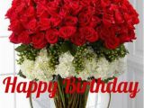 Birthday Flowers Images Red Roses Red N White Roses for Your Birthday Hbd 1 My Flower