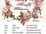 Birthday Flowers Meanings Birth Flowers and Meanings Sweet Ideas Pinterest