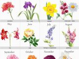 Birthday Flowers Meanings Birth Month Flowers Tattoos Tatto