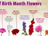 Birthday Flowers Meanings Birth Month Flowers Visual Ly