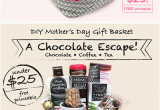 Birthday Gift Ideas for Him Under $25 Diy Mother S Day Gift Basket Ideas Under 25 Gift Ideas