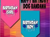 Birthday Girl Dog Bandana Dog Bandana Birthday Girl Birthday Boy