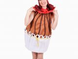 Birthday Girl Outfits for Adults Birthday Girl Cake Adult Costume the Coolest Funidelia