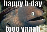 Birthday Meme Fishing Birthday Fish Puns