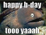 Birthday Meme Fishing Birthday Fish Puns