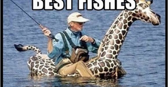 Birthday Meme Fishing Giraffe Birthday Memes Wishesgreeting