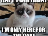 Birthday Meme for Kids Best 25 Birthday Meme Generator Ideas On Pinterest
