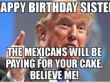 Birthday Memes for Brother From Sister 20 Best Birthday Memes for Your Sister Sayingimages Com