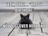 Black Cat Birthday Meme 13 Best Best Funny Memes 2018 Images On Pinterest Funny