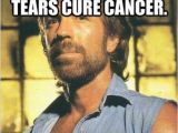 Cancer Birthday Memes 43 Chuck norris Memes that are so Badass they Should Get