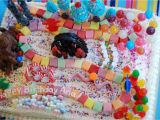 Candyland Birthday Party Ideas Decorations Candyland themed Birthday Party Decorations Candyland