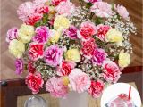 Carnation Birthday Flowers Birthday Flower Gift Birthday Flowers Gifts Uk Bunches