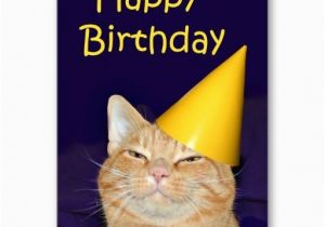Cat Birthday E Card 17 Best Images About Cat Birthday Cards On Pinterest