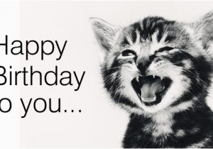 Cat Birthday E Card Free Singing Cat Ecard Email Free Personalized Birthday