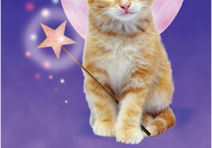 Cat Birthday E Card Funny Birthday Ecard Quot Cat Fairy Quot From Cardfool Com