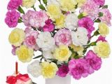 Cheap Birthday Flowers Delivered Birthday Flower Gift Cheap Flowers Delivery to Uk