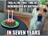 Clean Birthday Memes 144 Best Images About Clean Memes On Pinterest Funny