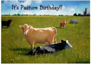 Cow Birthday Meme Angry Cow Meme Birthday Pictures to Pin On Pinterest