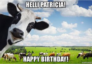 Cow Birthday Meme Helli Patricia Happy Birthday Make A Meme