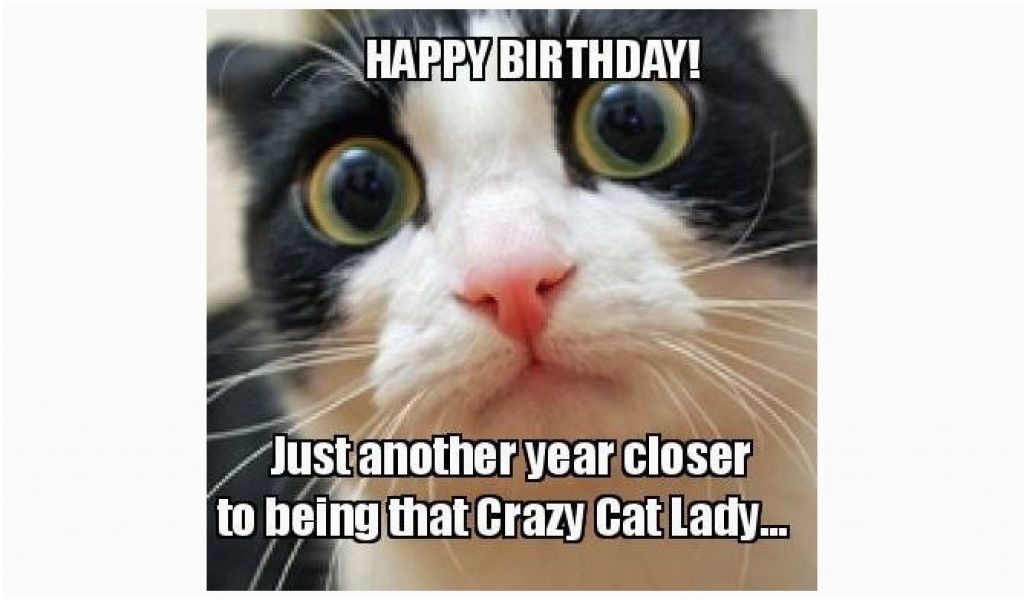 Crazy Lady Birthday Meme the 18 Best Happy Birthday Memes to Brighten