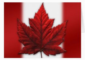 Custom Birthday Cards Canada Canada Cards Canada Flag Greeting Cards Custom Zazzle