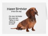 Dachshund Birthday Meme Funny Dachshund Birthday Card Zazzle