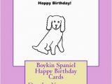 Does Barnes and Noble Have Birthday Cards Boykin Spaniel Happy Birthday Cards Do It Yourself by