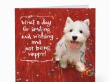 Dog Birthday Card Sayings Smiling Happy Dog Birthday Cards Hallmark Card Pictures