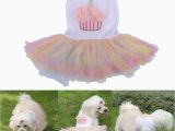 Dog Birthday Dresses Doggie Lace Tutu Skirt Chihuahua Pet Puppy Dog Birthday