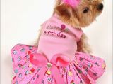 Dog Birthday Dresses Luxury Pet Boutique Dog Collars Dog Treats Dog