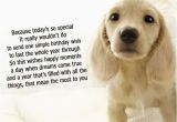 Doggie Birthday Cards Dog Birthday Quotes Quotesgram